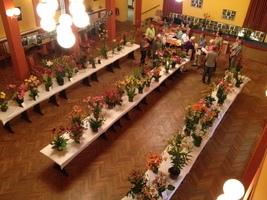 Foto: Stefan Strasser